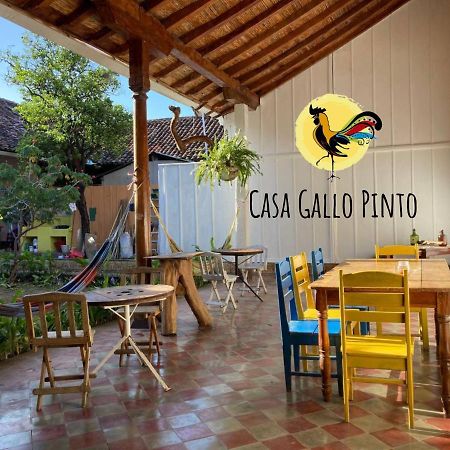 Casa Gallo Pinto Granada Extérieur photo