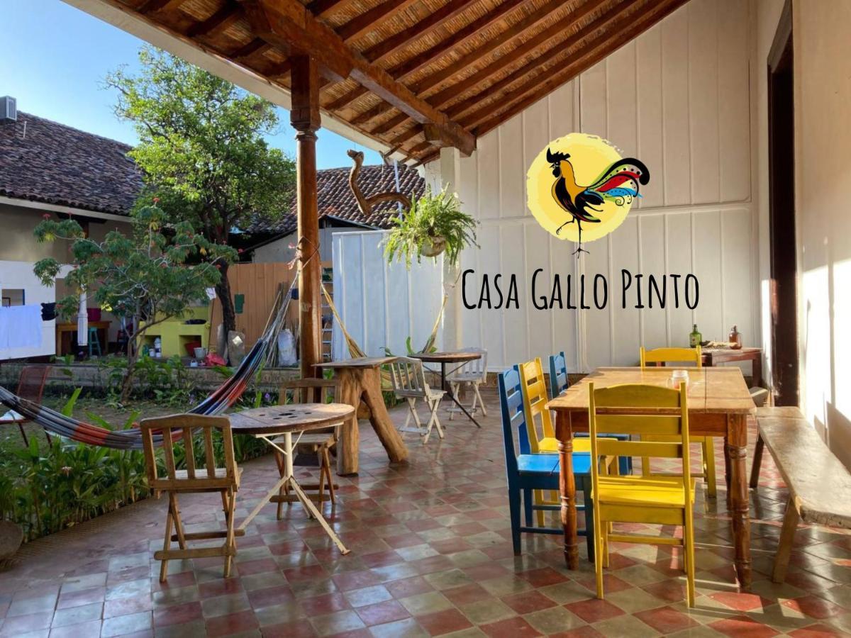 Casa Gallo Pinto Granada Extérieur photo