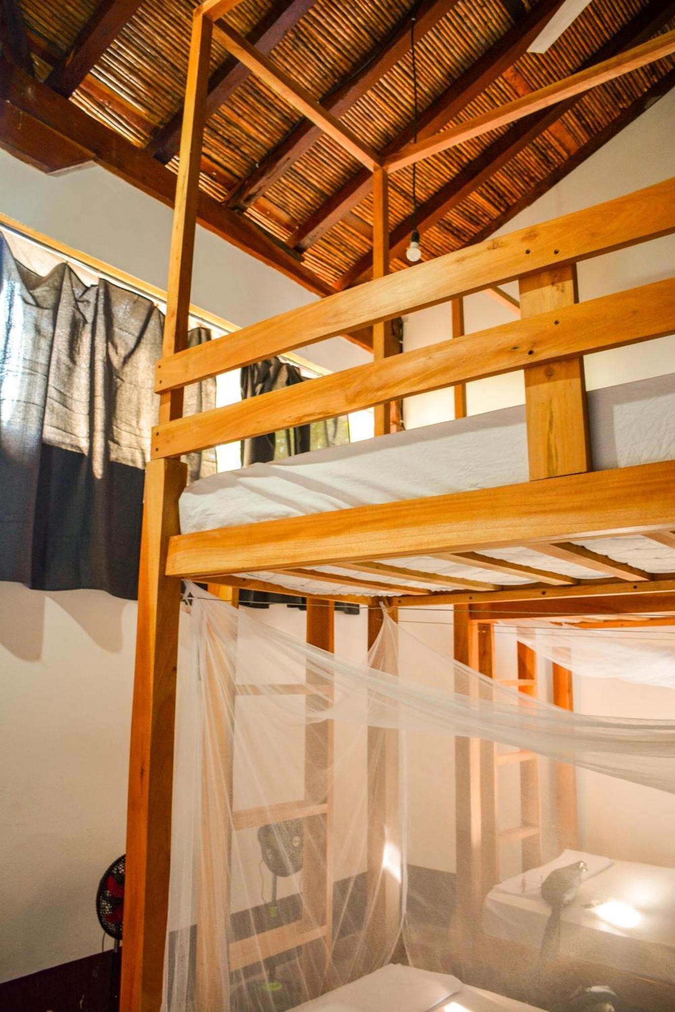 Casa Gallo Pinto Granada Extérieur photo