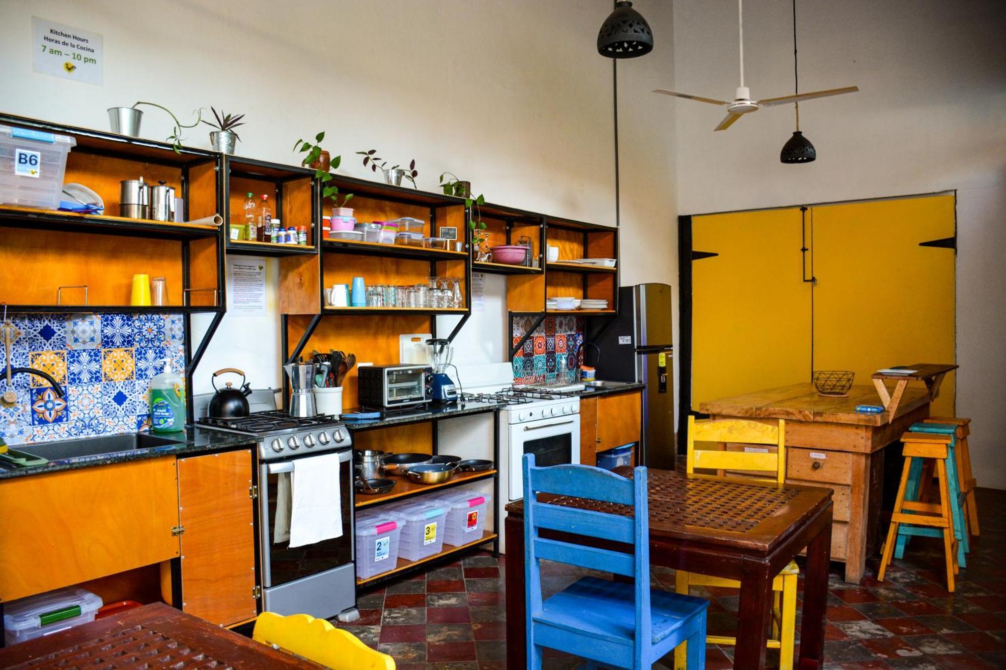 Casa Gallo Pinto Granada Extérieur photo