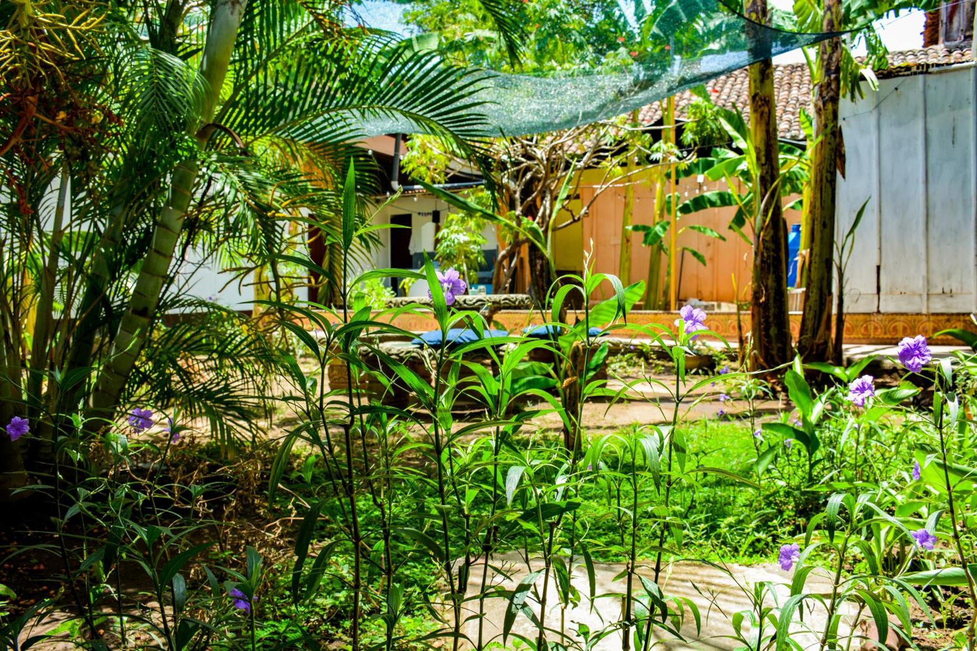 Casa Gallo Pinto Granada Extérieur photo